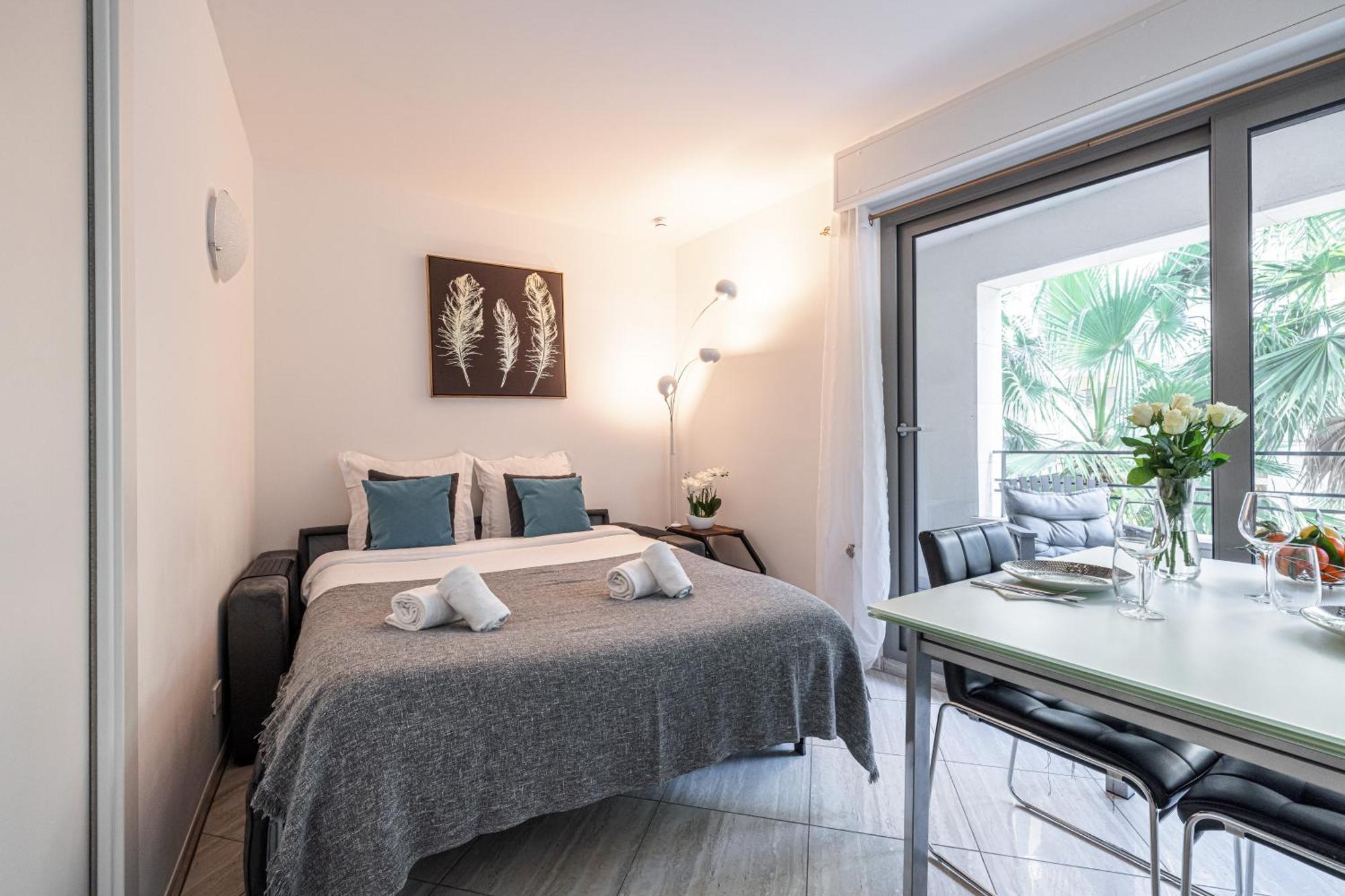 Appartement Centre Terrasse Climatisation 50m *